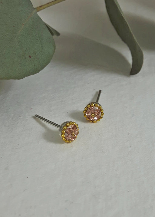 Allegra Gold Tiny Stud Earrings