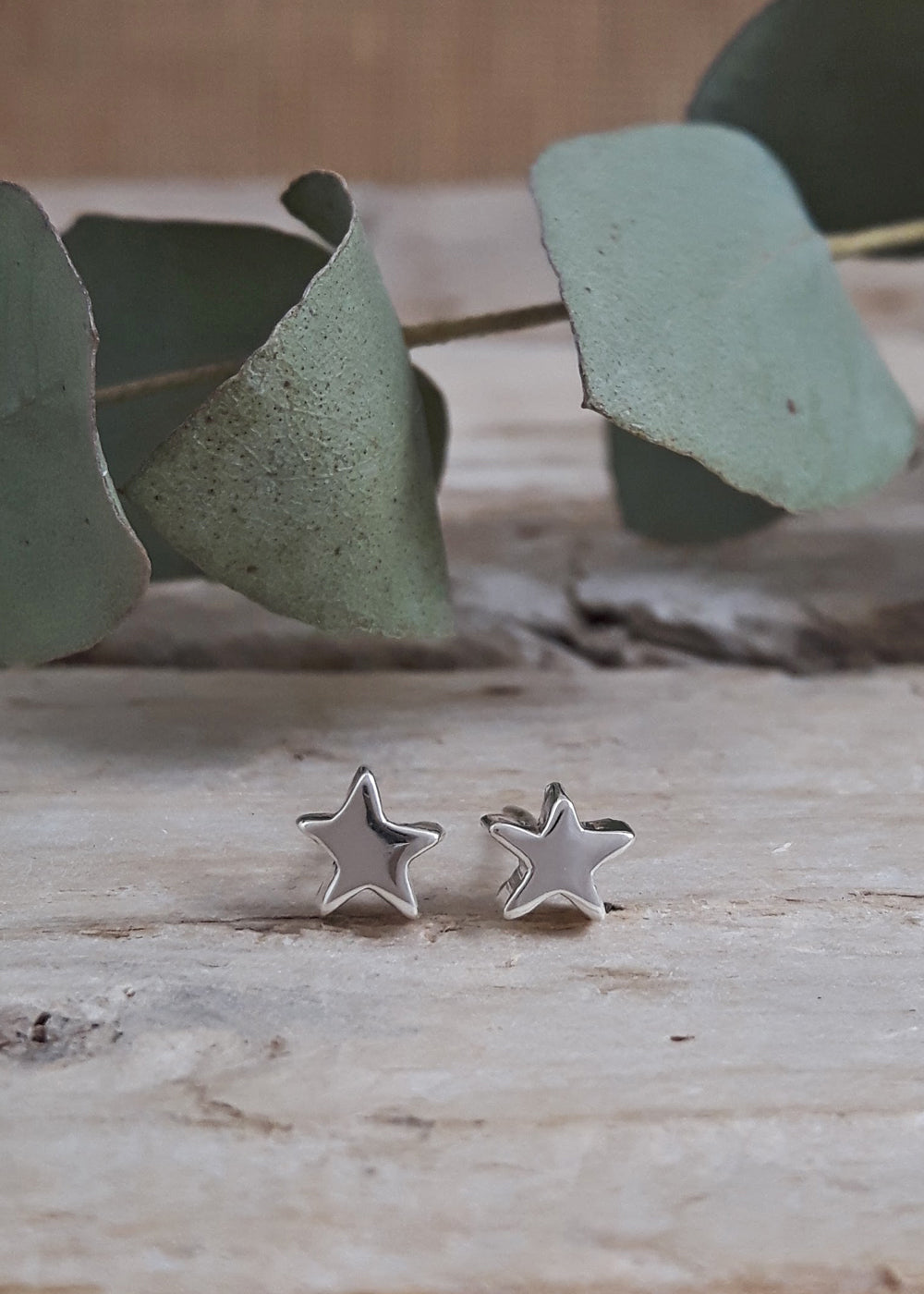 Dainty Star Polished Stud Earrings