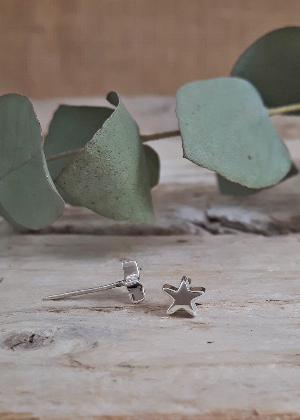 Dainty Star Polished Stud Earrings