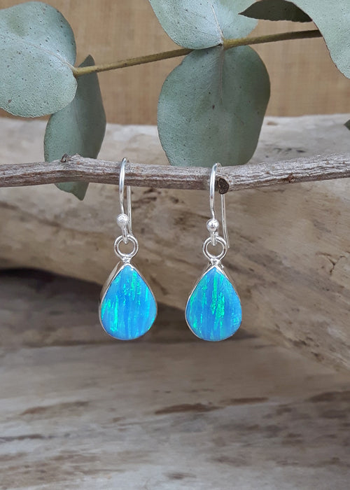 Flinder Turquoise Renoir Drop Earrings