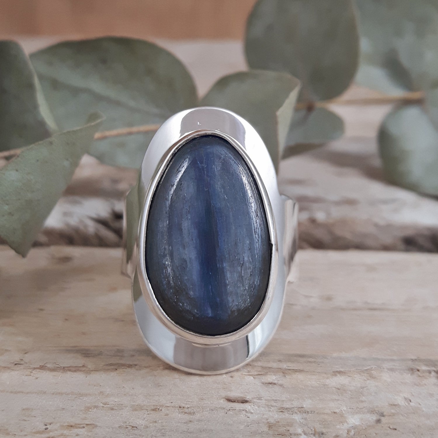 Monet Kyanite Adjustable Rings