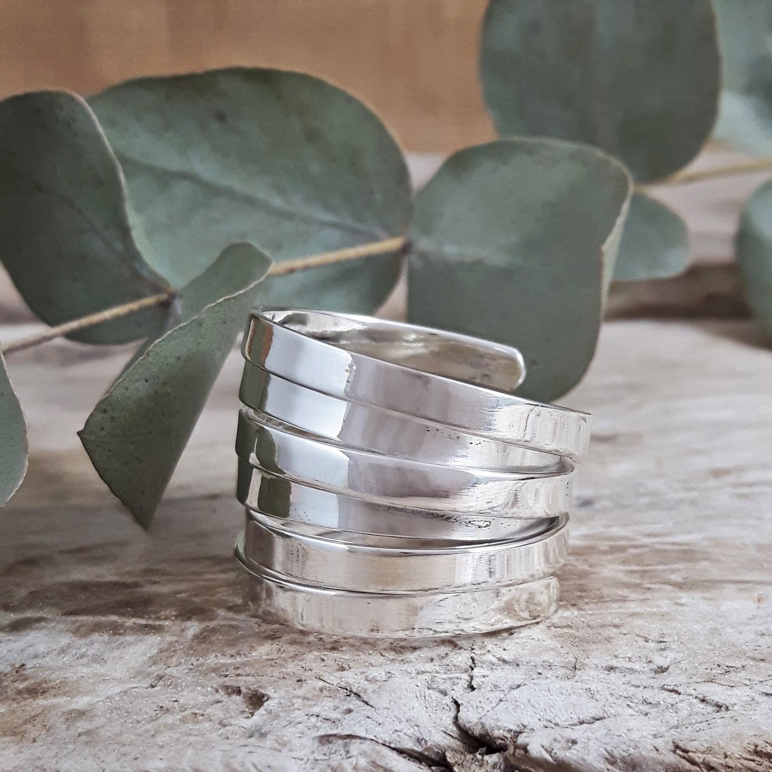 Chique Polished Silver Ring