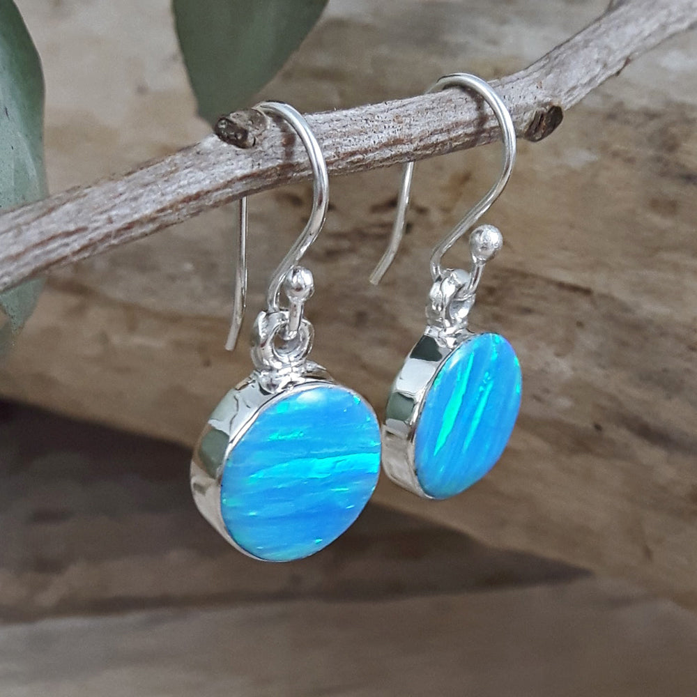 Flinder Turquoise Dot Drop Earrings