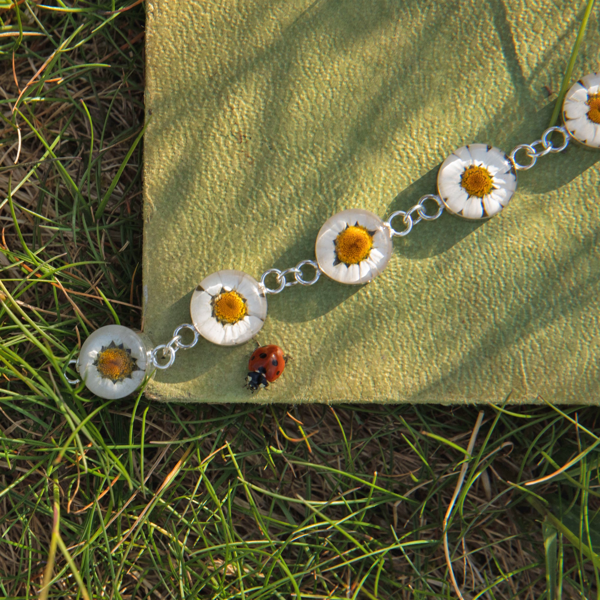 Flores Daisy Round L Bracelet