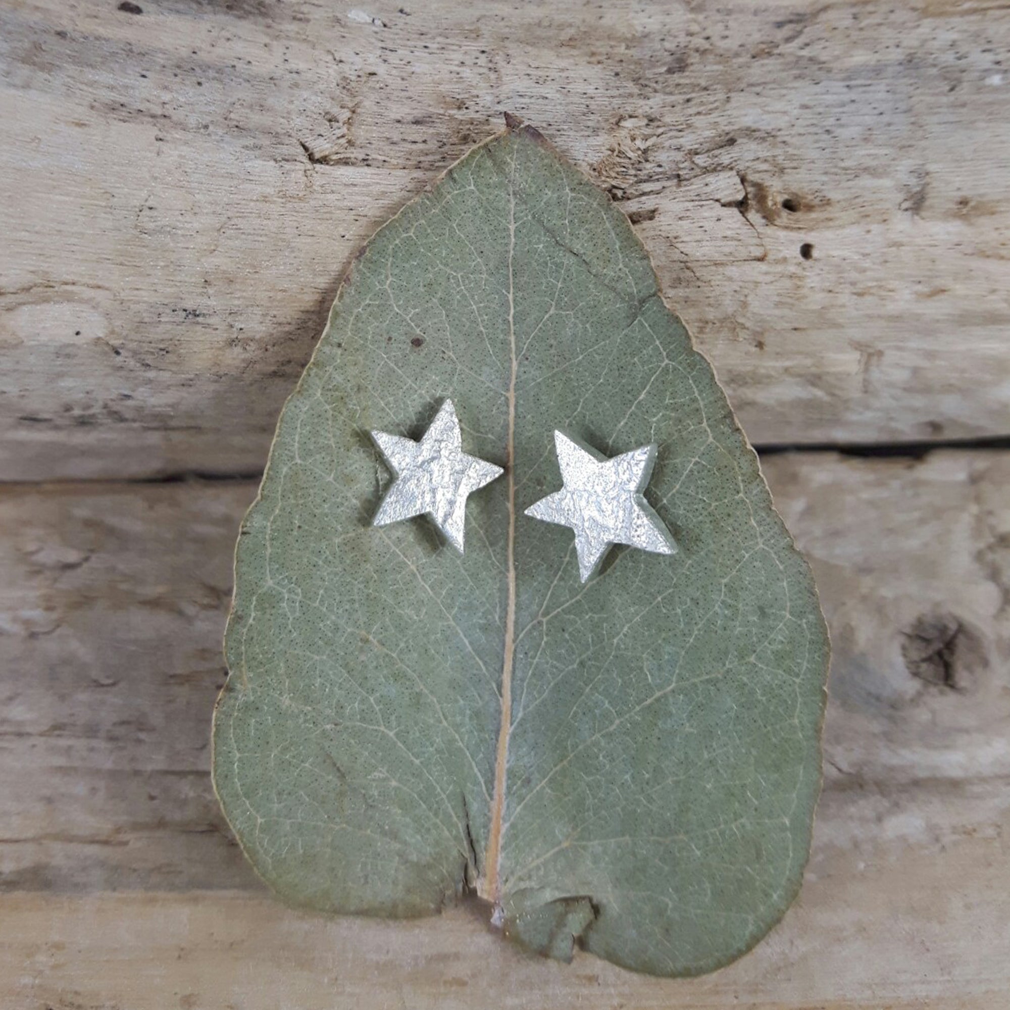 Foresta Tiny Star Silver Stud Earrings